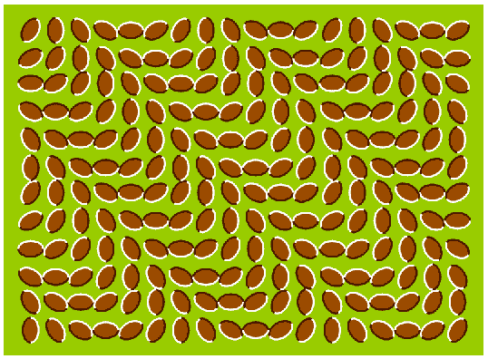 optical illusion of brown ovals moving